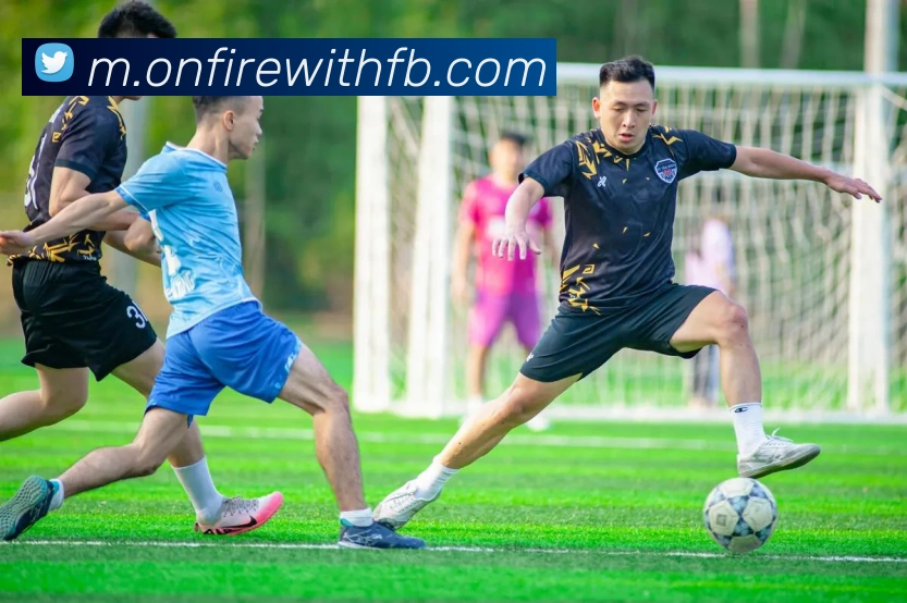 九游会j9官方入口发展历程